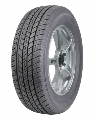 Dunlop Grandtrek ST30