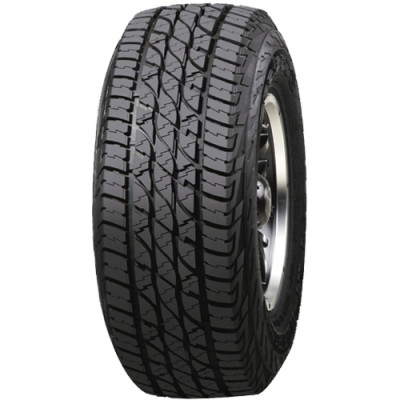 Accelera Omikron A/T