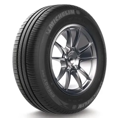 Michelin Energy X2+