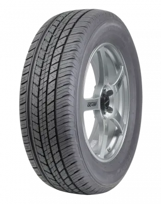 Dunlop Grandtrek ST30